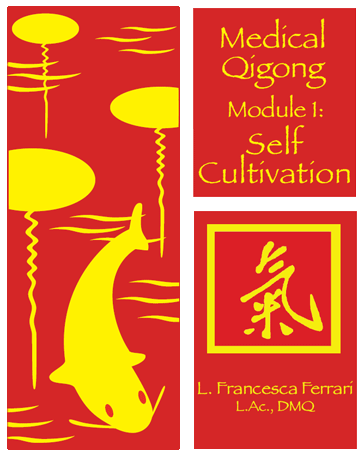 Medical Qigong Conference
